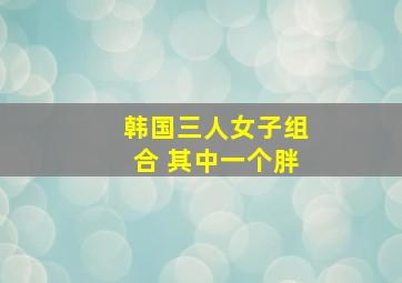 韩国三人女子组合 其中一个胖